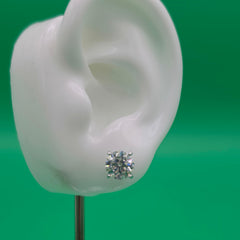 Everyday Staple Stud Earrings