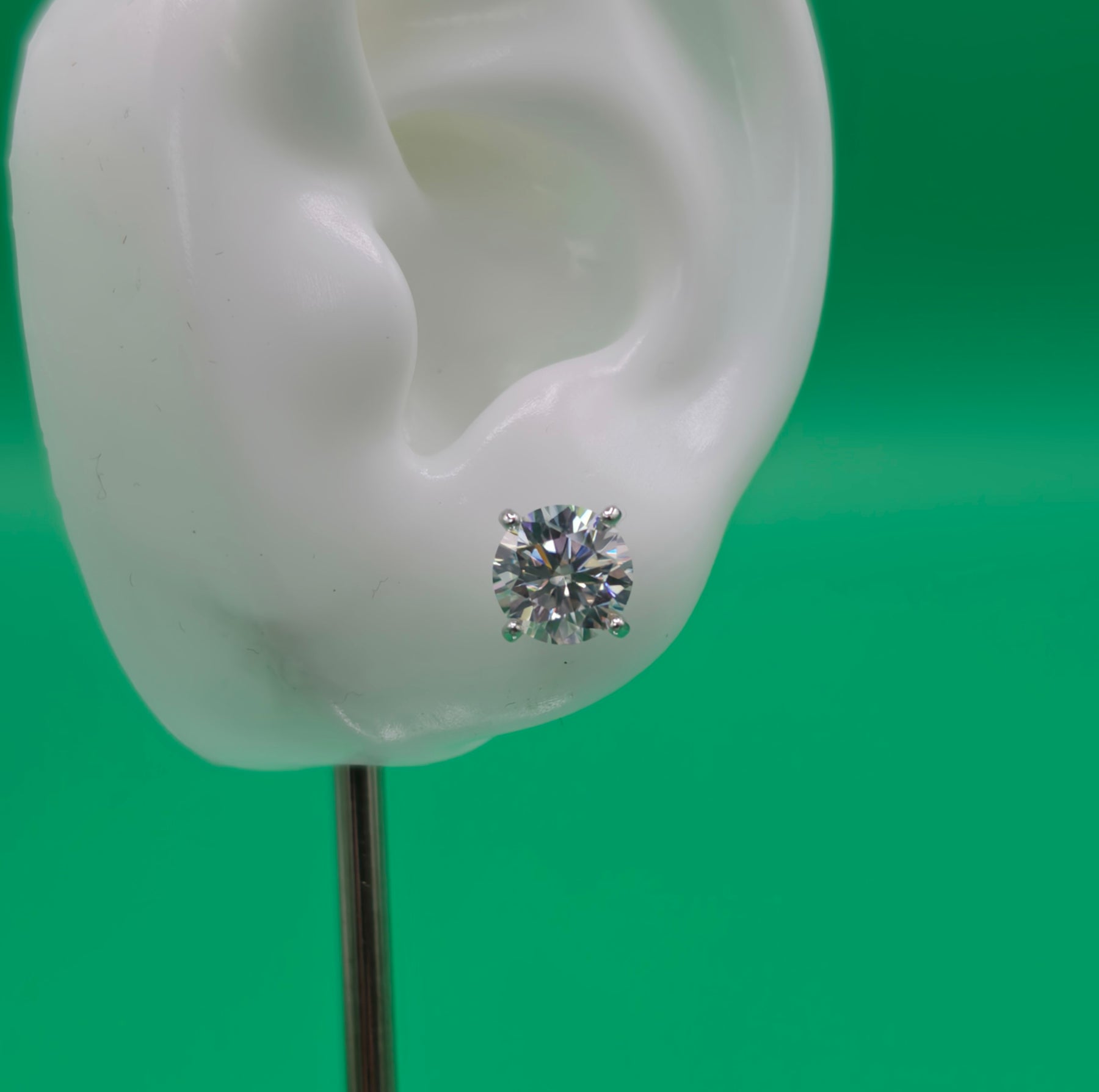 Everyday Staple Stud Earrings