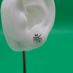 Everyday Staple Stud Earrings